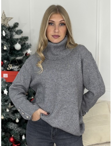 Pull col roulé gris Jelissa